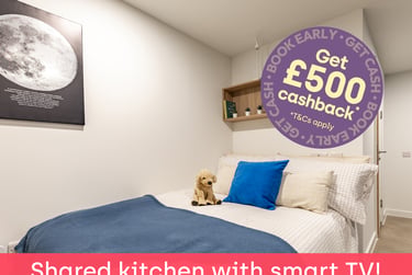 Classic En Suite at Croft Court, 16 Stokes Croft, St Paul's, Bristol, BS13PR - Image 1